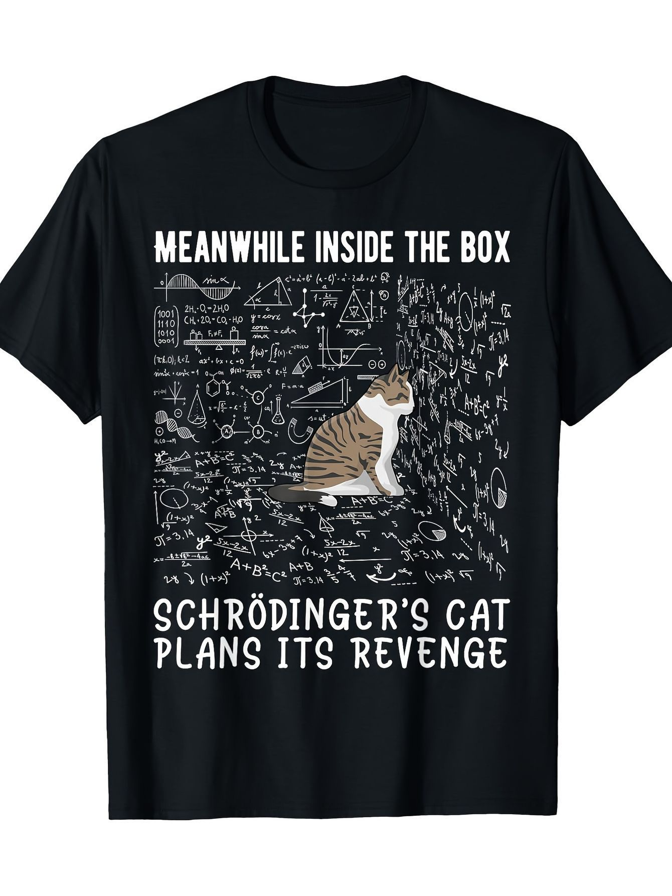 Men's Graphic T-Shirt Meanwhile Inside The Box With Physics Scribbles Surrounding A Tabby Cat