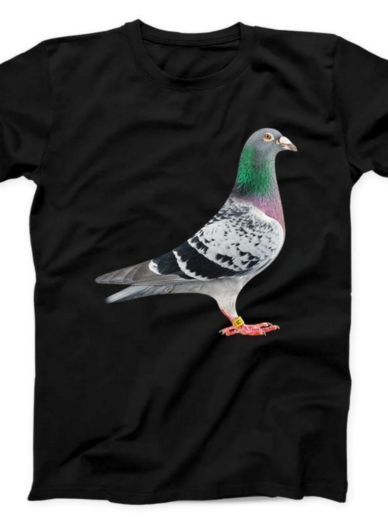Men's Graphic T-Shirt Colorful Urban Textured Feathers Among Night Reflections Pigeon