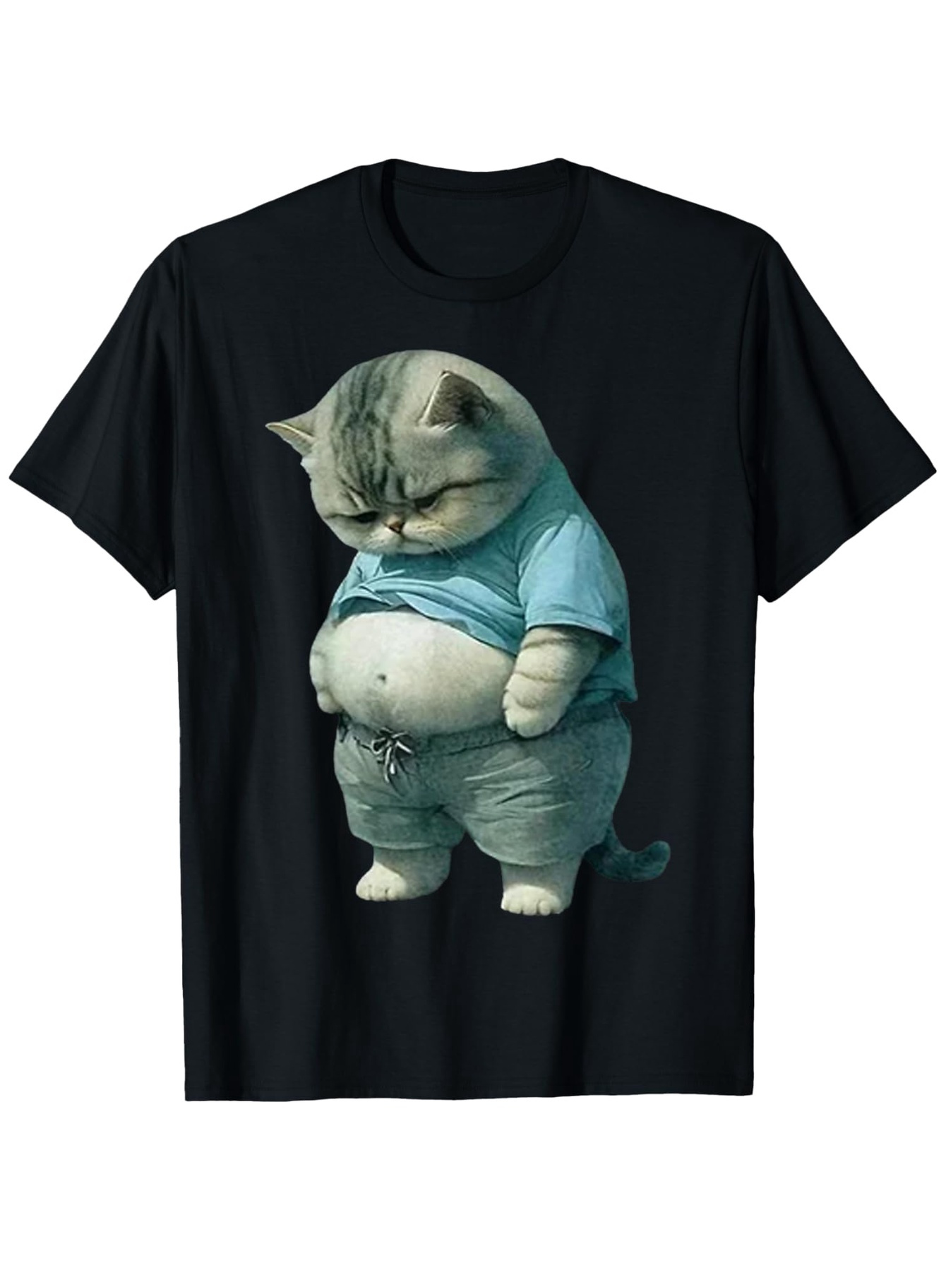 Men's Graphic T-Shirt Playful Cat Wearing Blue Shirt Staring At Round Belly Cat