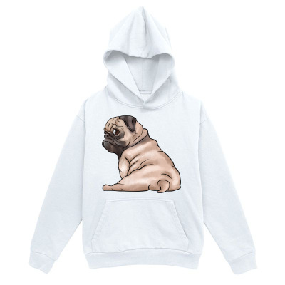 Men's Graphic Hoodie Sitting On Soft Carpet In Playful Light Pug Dog