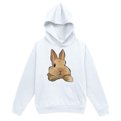 Men's Graphic Hoodie Relaxed Brown Rabbit Resting Under Soft White Light Bunny